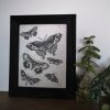 Tattoo Butterflies Art Print