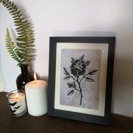 Black Rose Art Print