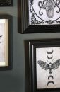 Tattoo Moth Art Print