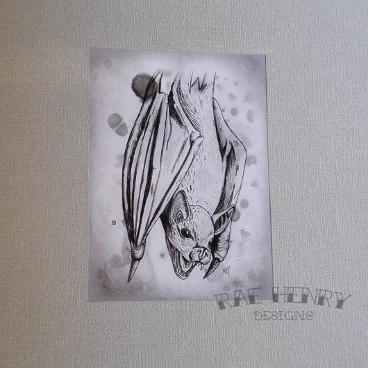 Vampire Bat Art Print