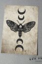 Tattoo Moth Art Print